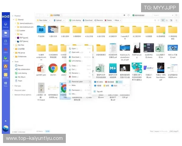 开云电子网址导航大全，轻松找到开云电子官方最新官方网址和相关资源
