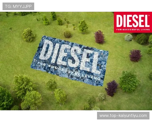 开云官方网站入口2024年最新版本，全面解析官方入口的安全性与便捷性